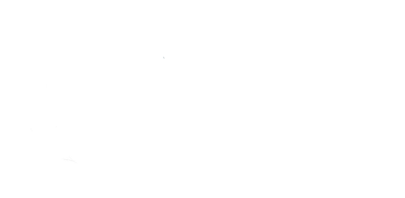 Simulyze